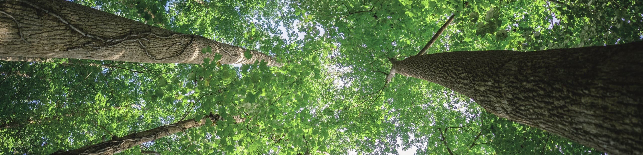 PP电子游戏(试玩)官方网站-APP下载